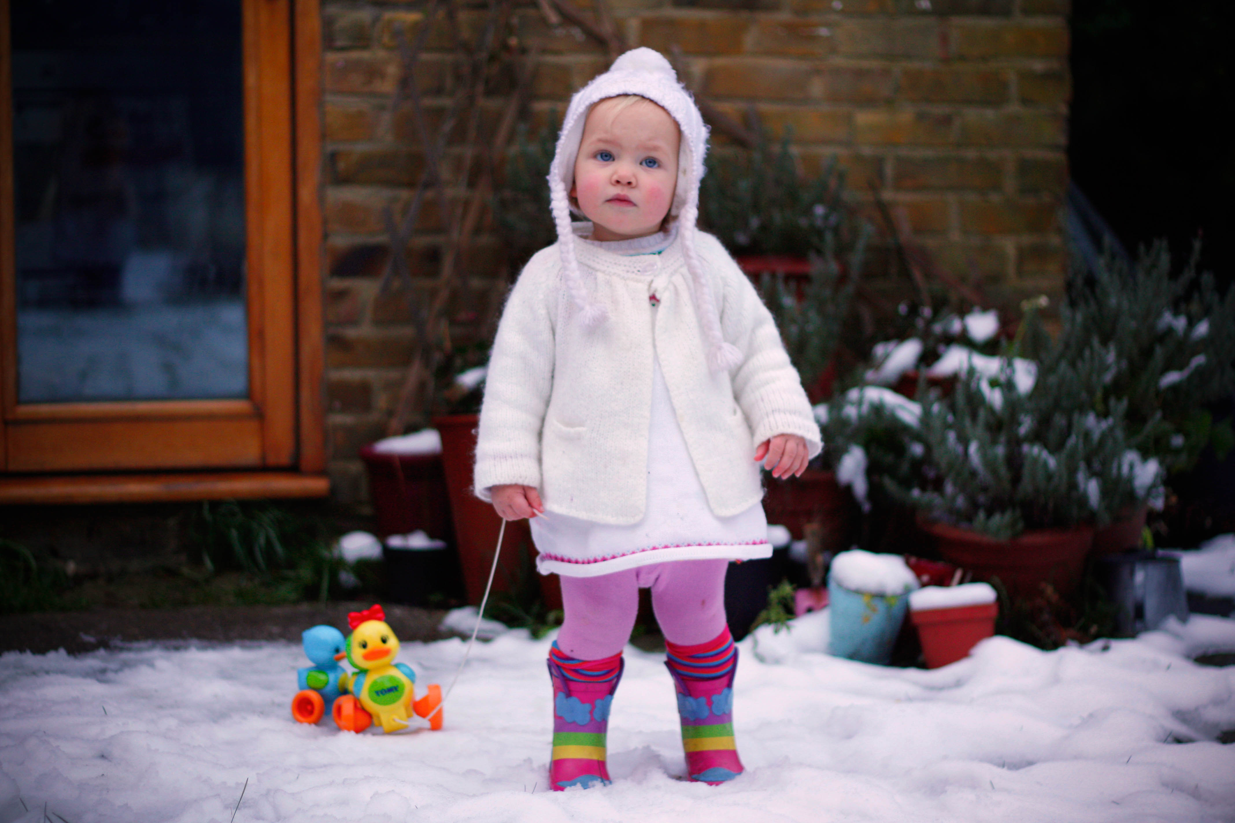 Toddler and Ducks in the Snow Photography